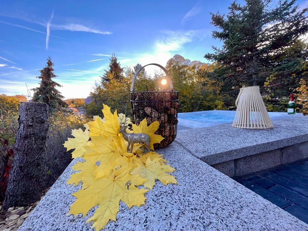 Ferienhaus Harzblick Meisdorf Dış mekan fotoğraf